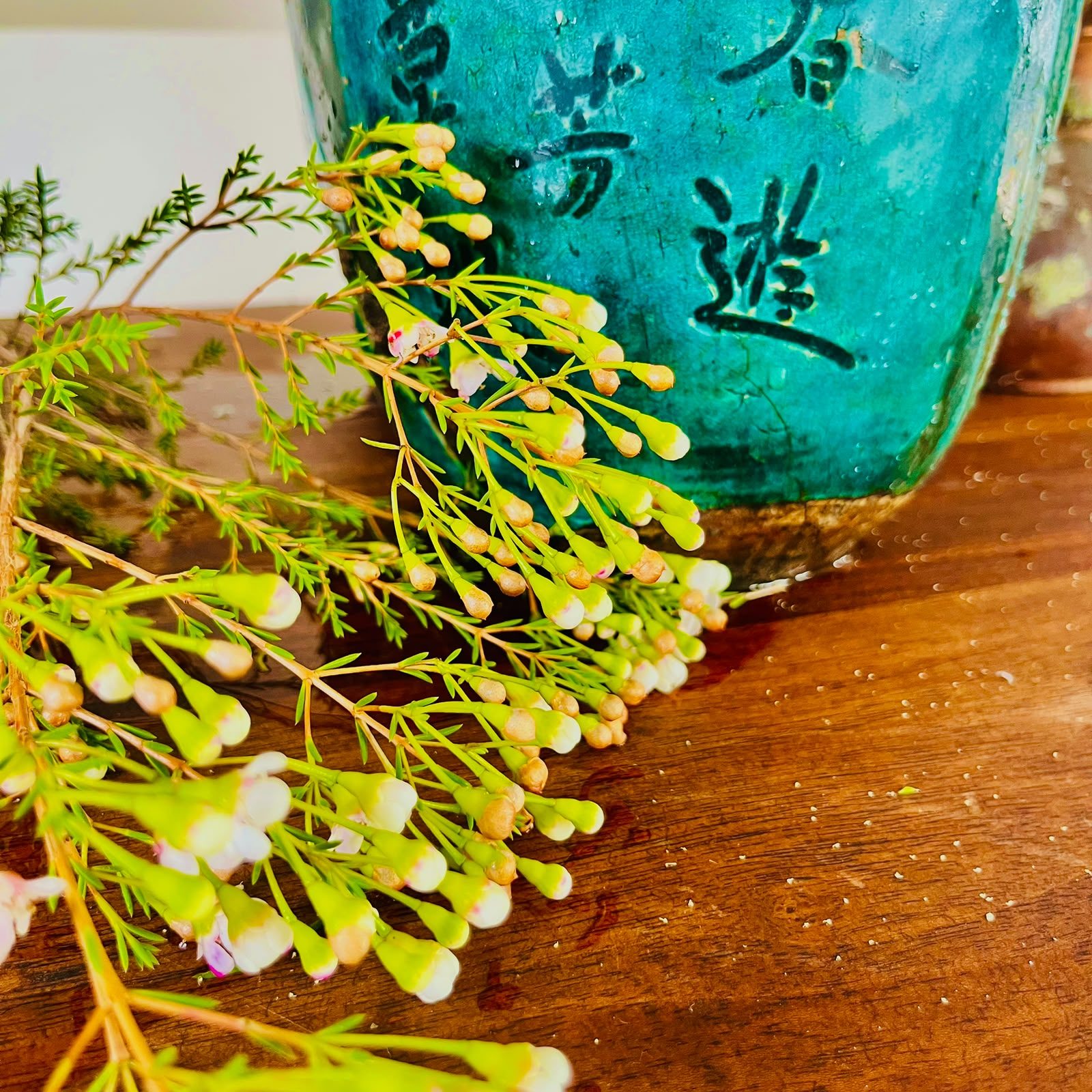 Wax flower branch detail against a glazed teal vessel